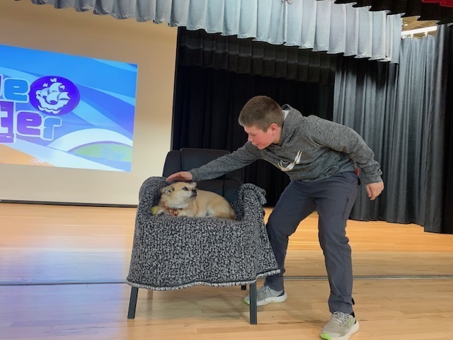 Photo of Gobi the Dog resting in a chair being pet by a Middle School Student