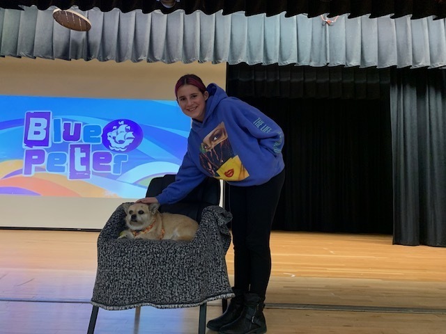 Photo of Gobi the Dog resting in a chair being pet by a Middle School Student