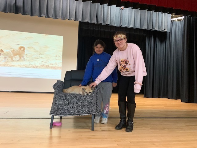 Photo of Gobi the Dog resting in a chair being pet by two Upper Elementary Student
