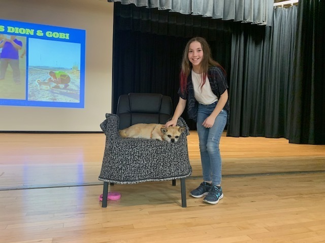 Photo of Gobi the Dog resting in a chair being pet by an Upper Elementary Student