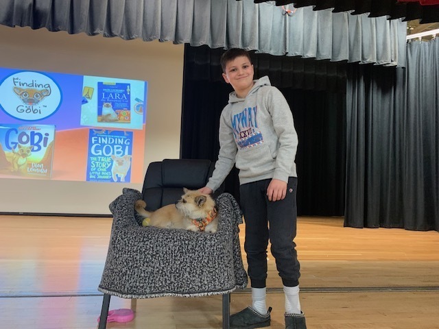Photo of Gobi the Dog resting in a chair being pet by an Upper Elementary Student