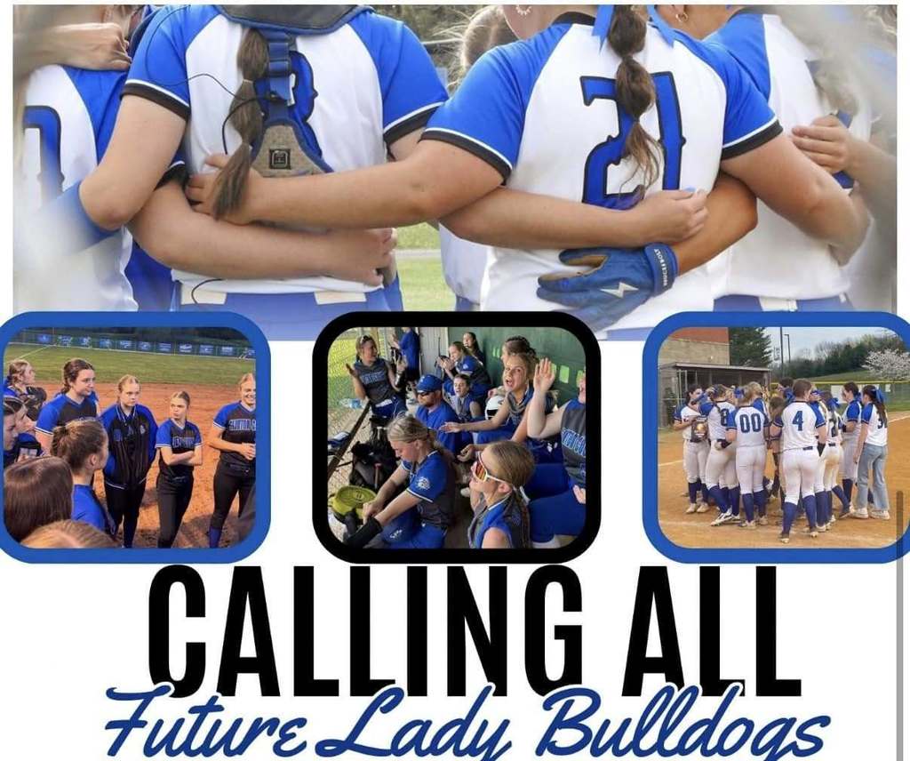 lady bulldog1