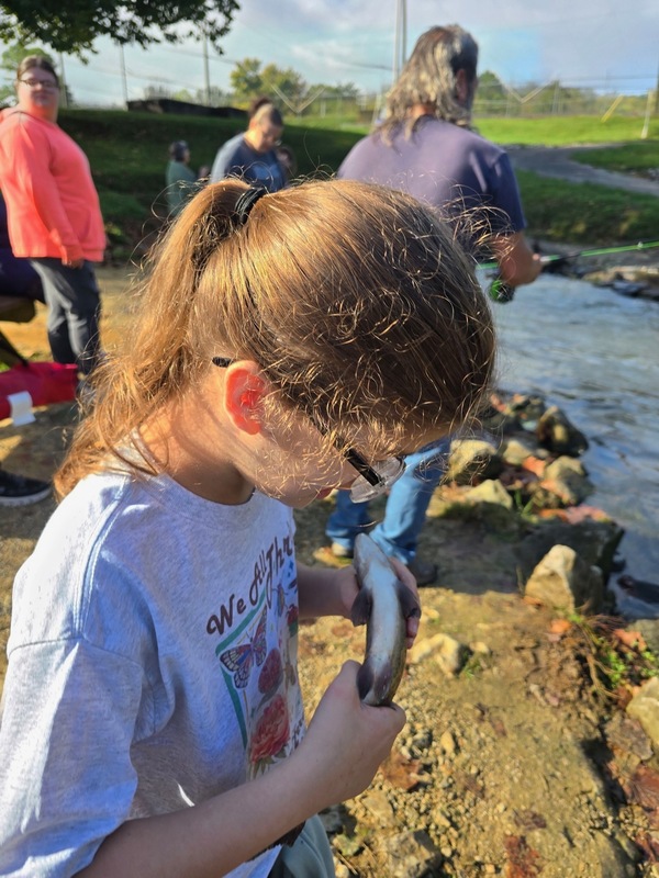 Reaching for Rainbows