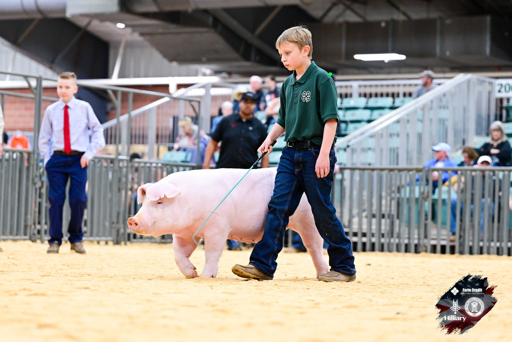 FFA student with pig