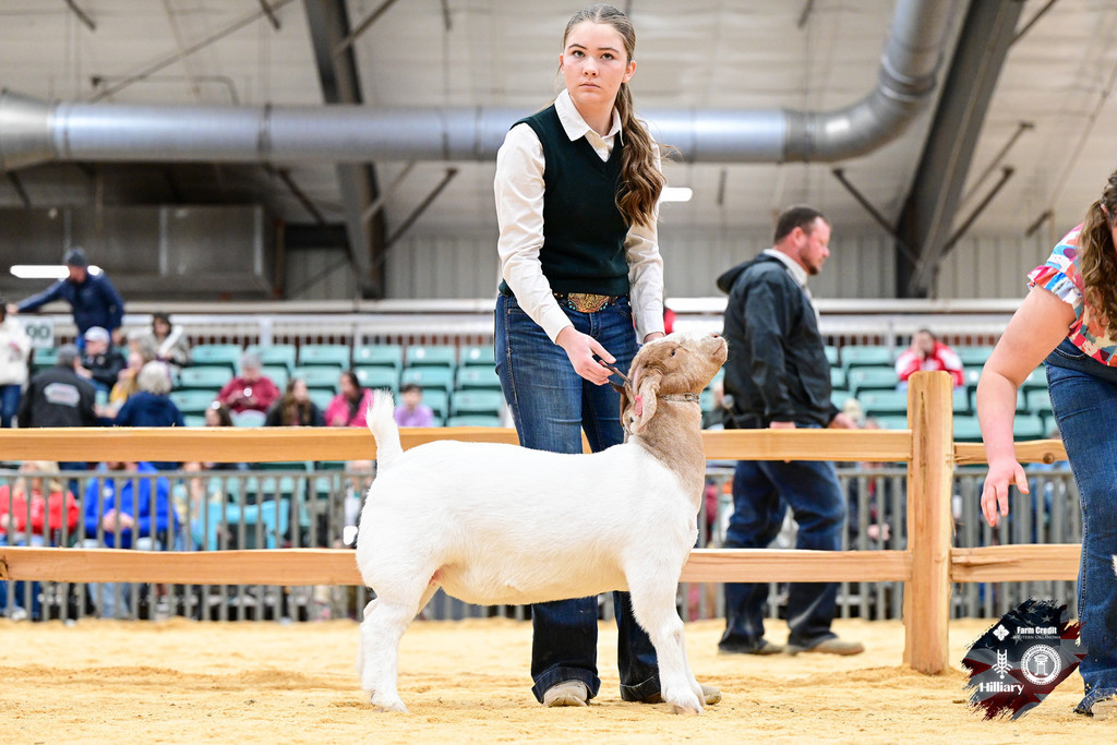 FFA female student with goat