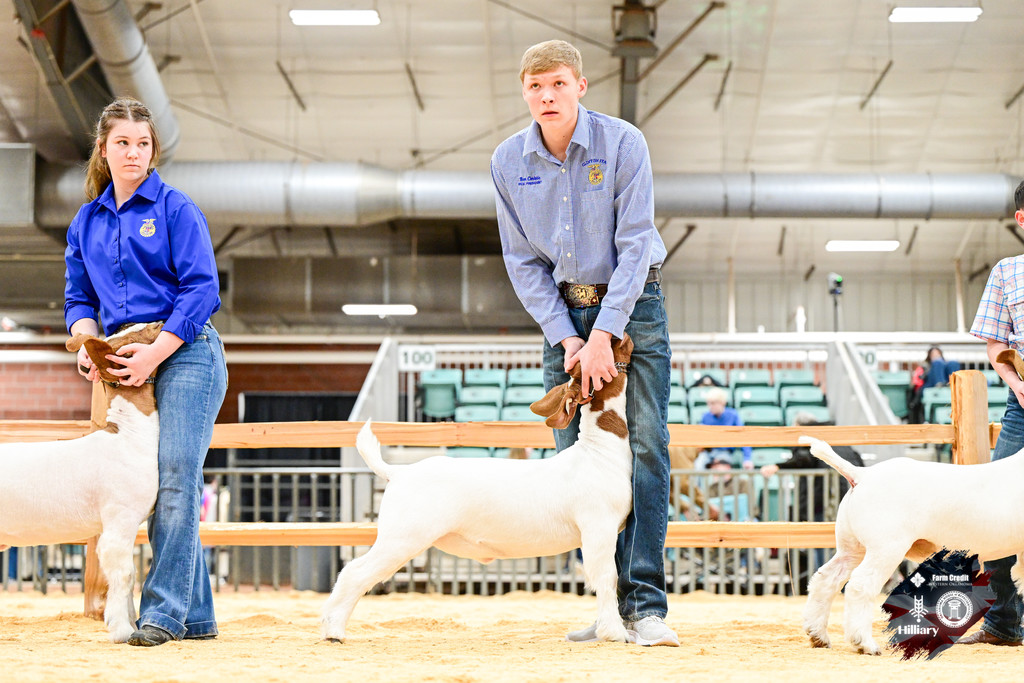 FFA male student with goat