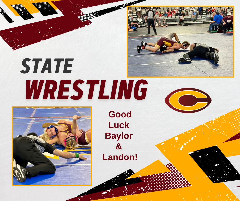 State Wrestlers on the mat