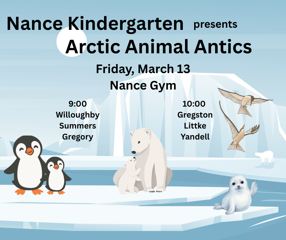 Arctic Animal Antics
