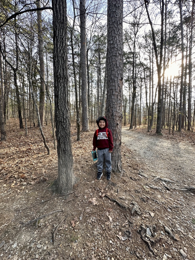 Student standing next to big tree