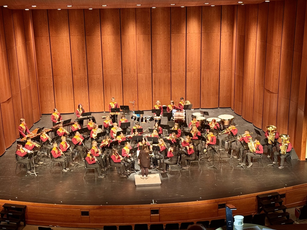 CHS Wind Ensemble on stage at State