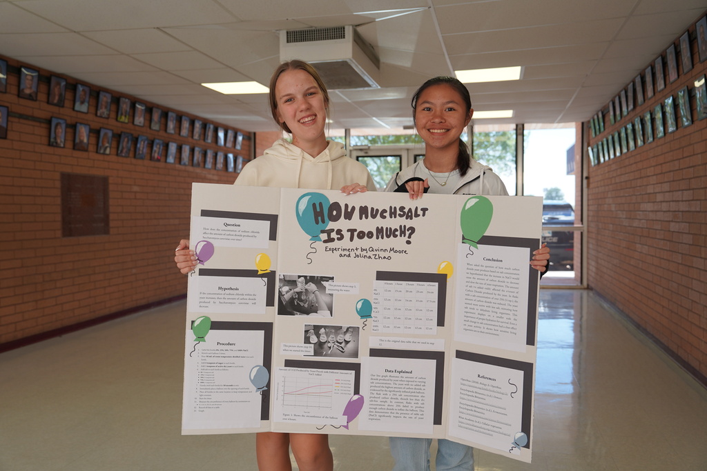 How Much Salt Science Fair Project Winner