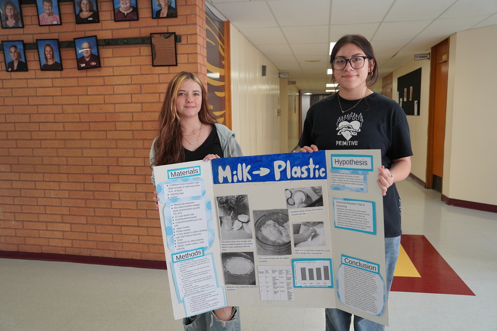 Milk Plastic Science Fair Project Winner
