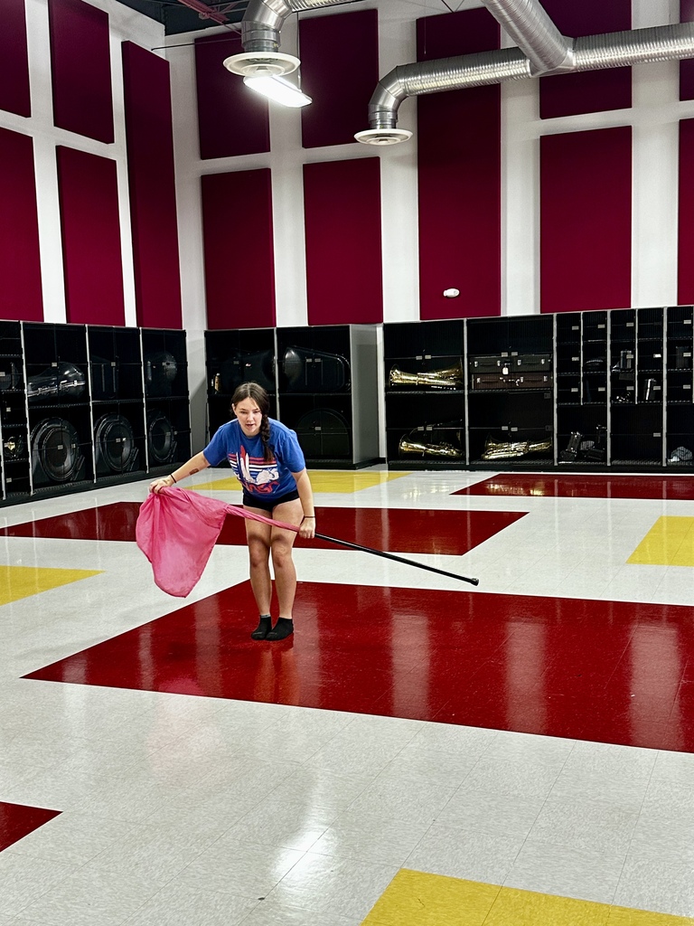 Color Guard member holding a pink flag