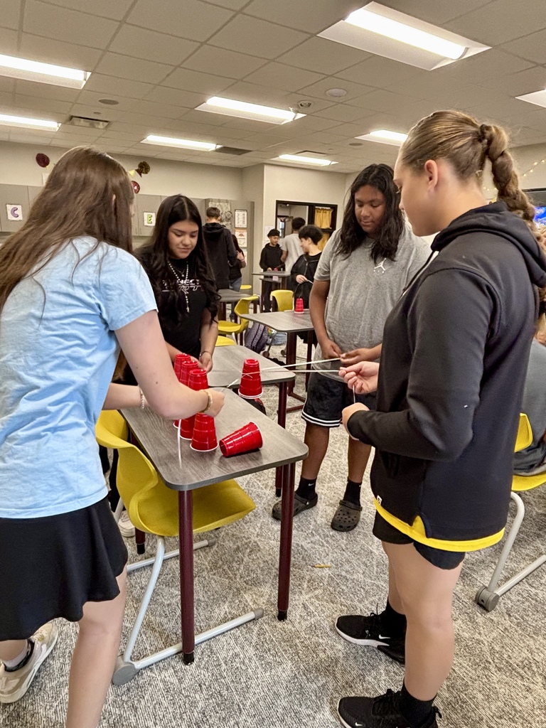 Students working together on stem activity