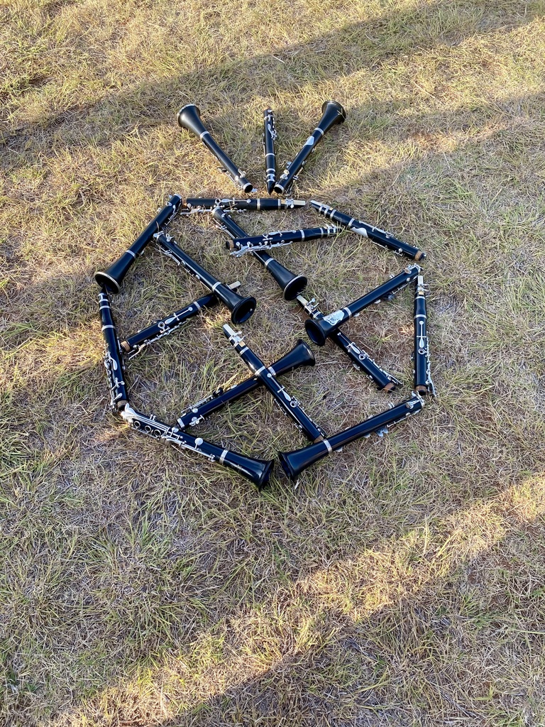 Clarinets placed on the field in a pineapple shape
