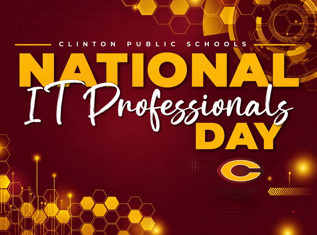 National IT Professionals Day