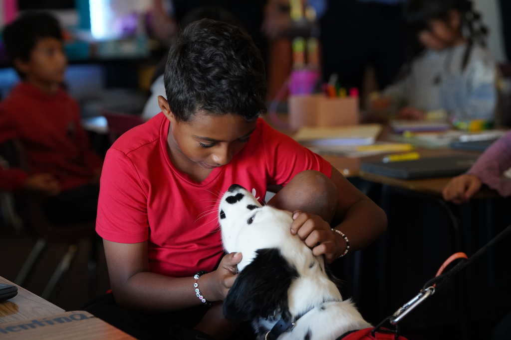Student looking into the eyes of Tilly the Firedog