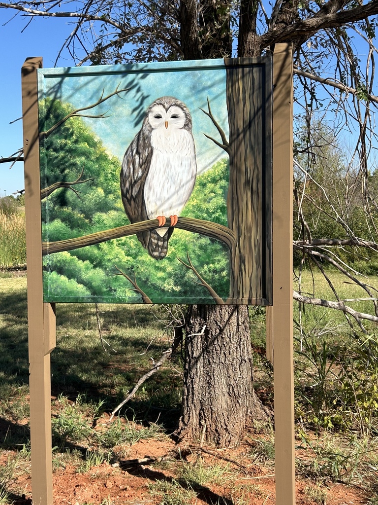 Student artwork of an owl