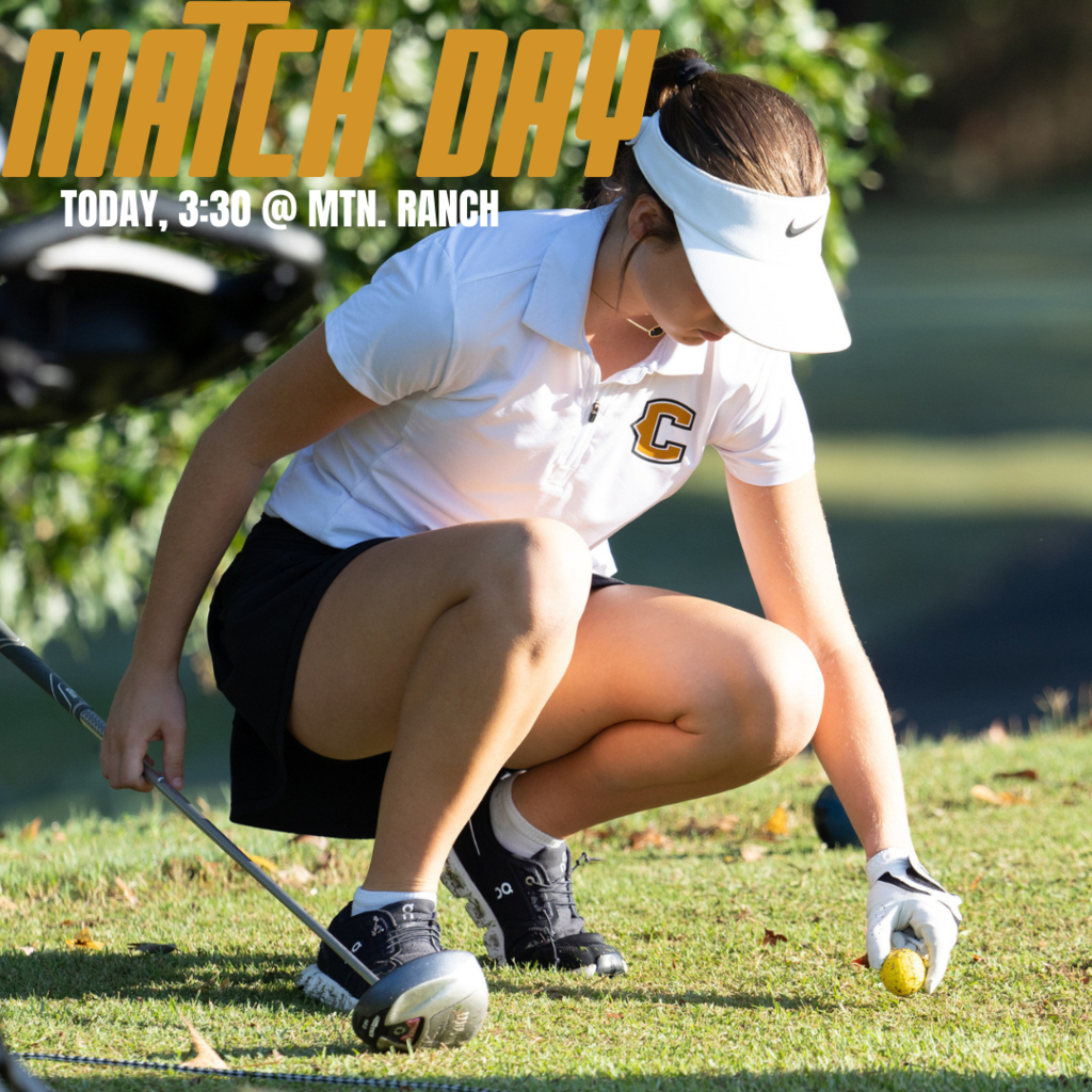 Golf match day graphic 