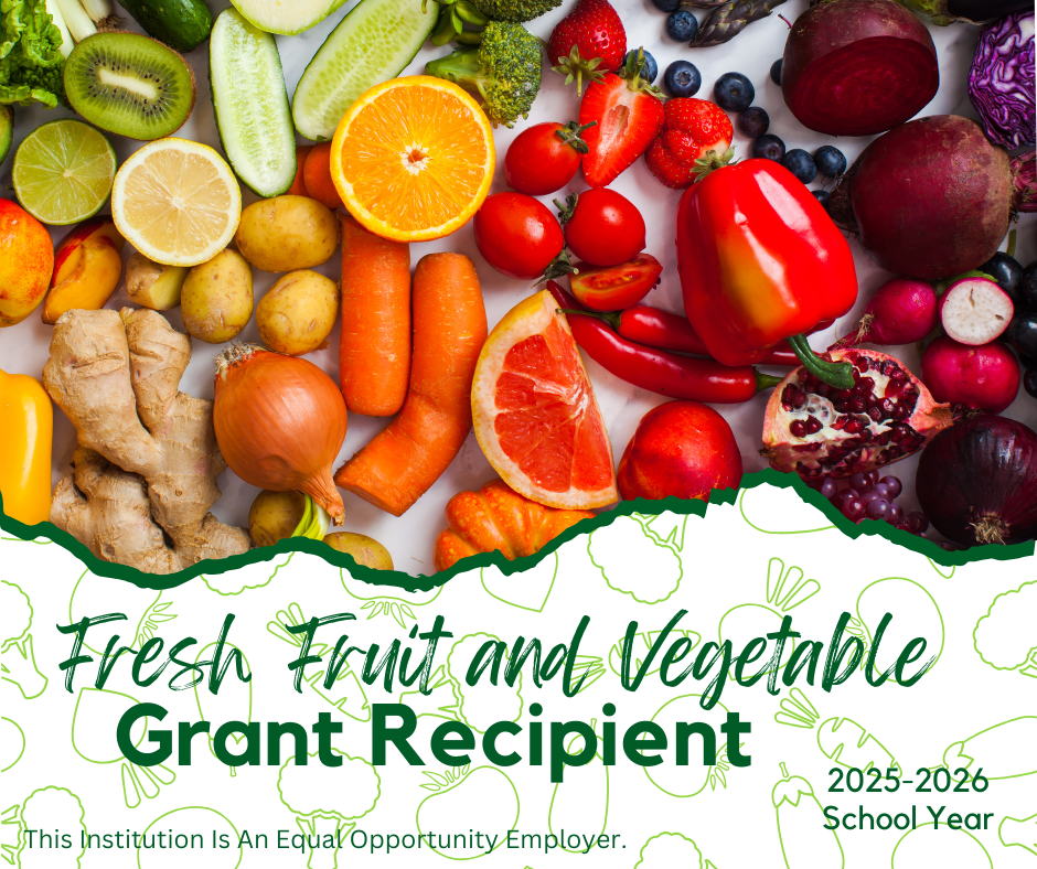 fruit and vegetables on graphic