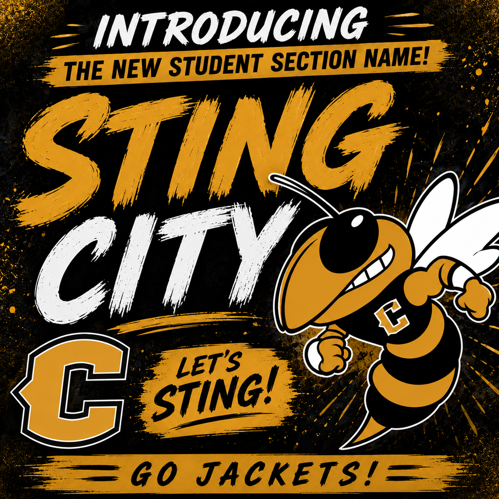 sting city graphic with the yellowjacket