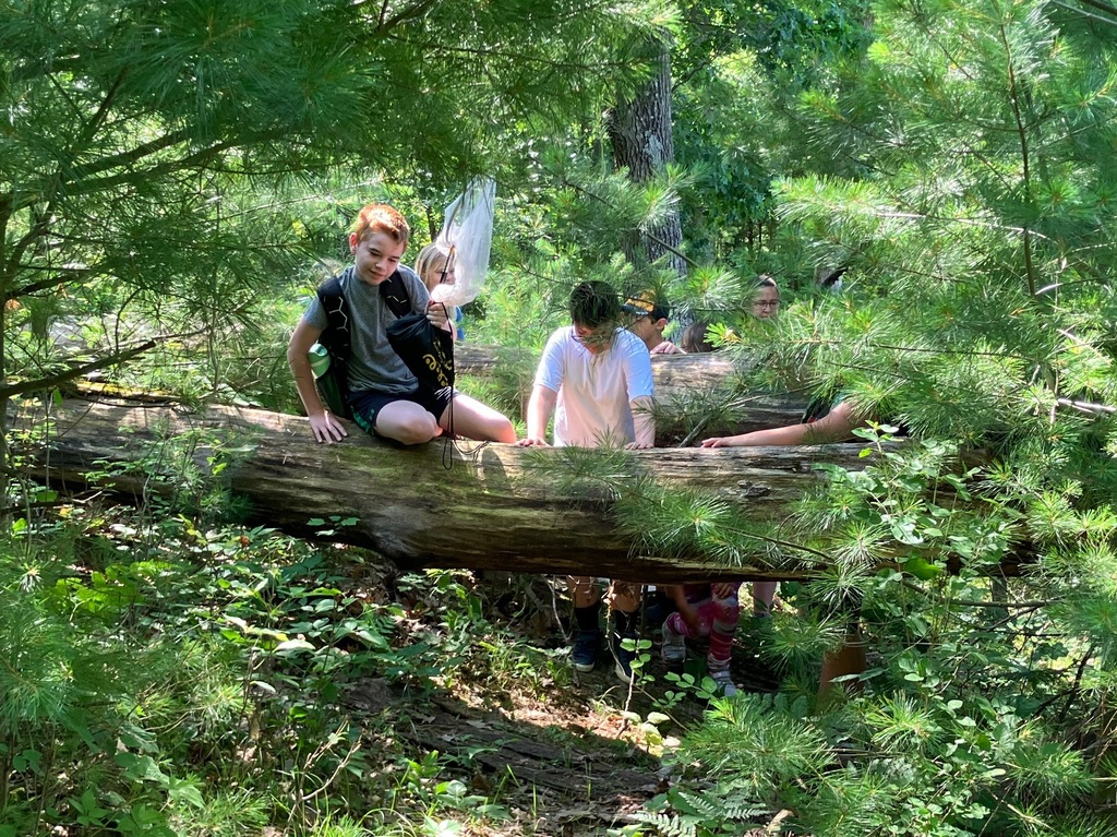 School Forest