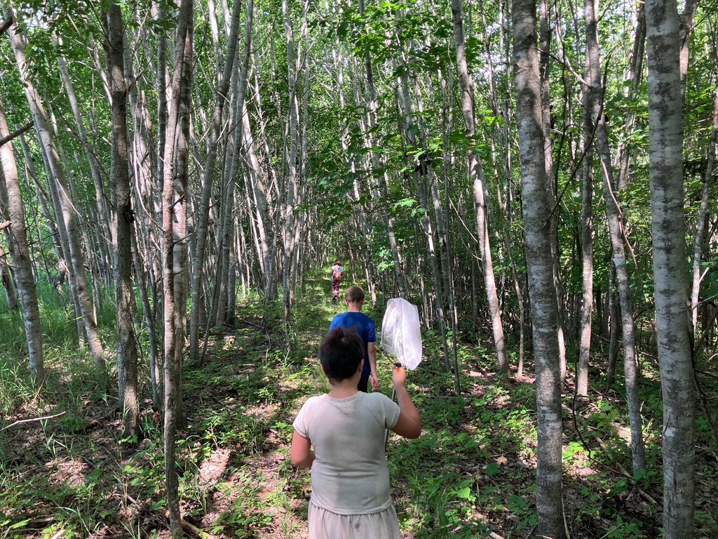 School Forest