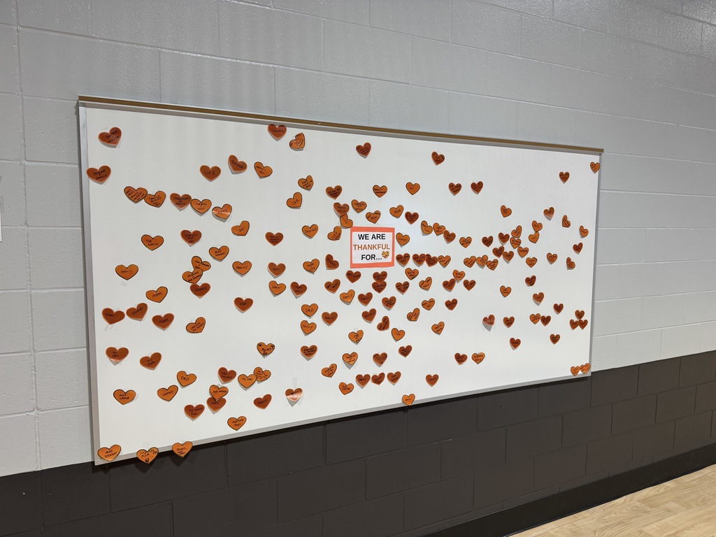 Glimpses of Thanksgiving