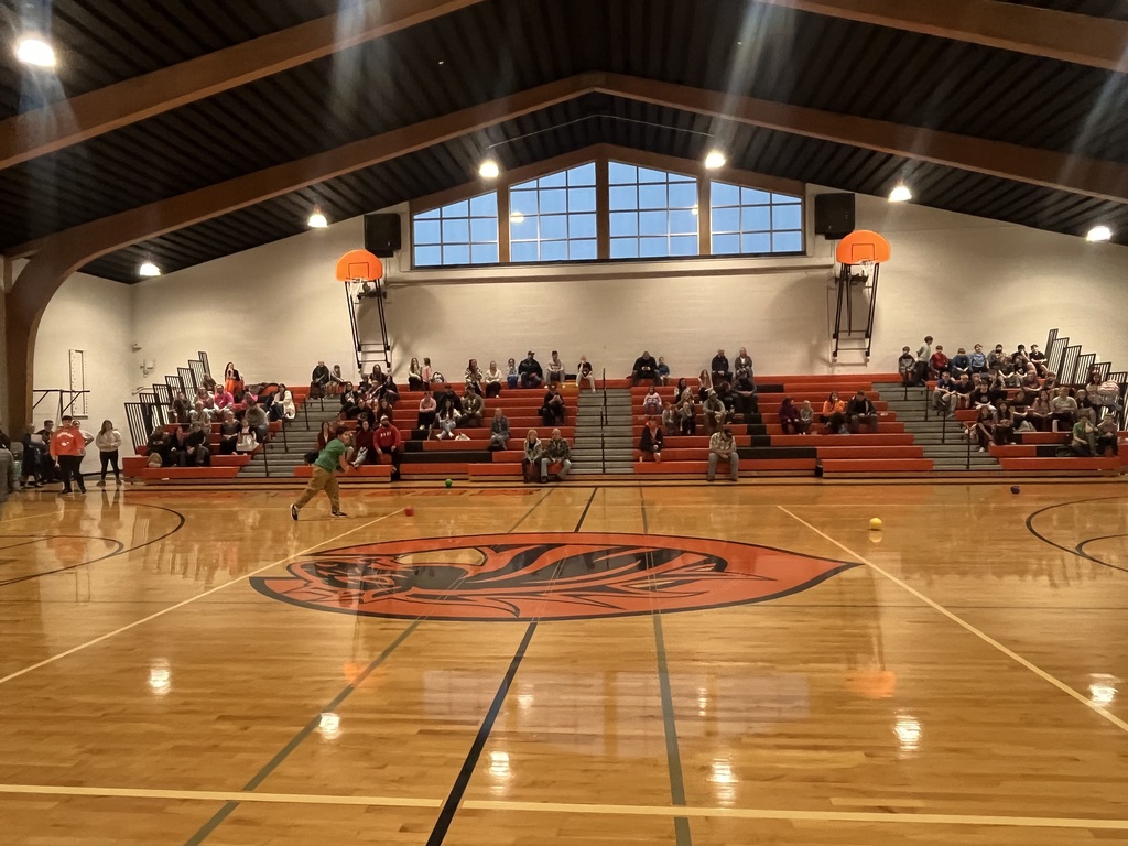 Dodgeball Tournament.