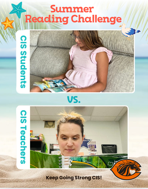 Summer reading challenge