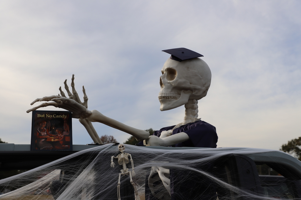 Skeleton
