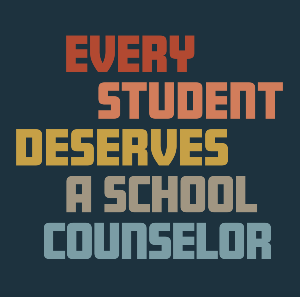 school counselor