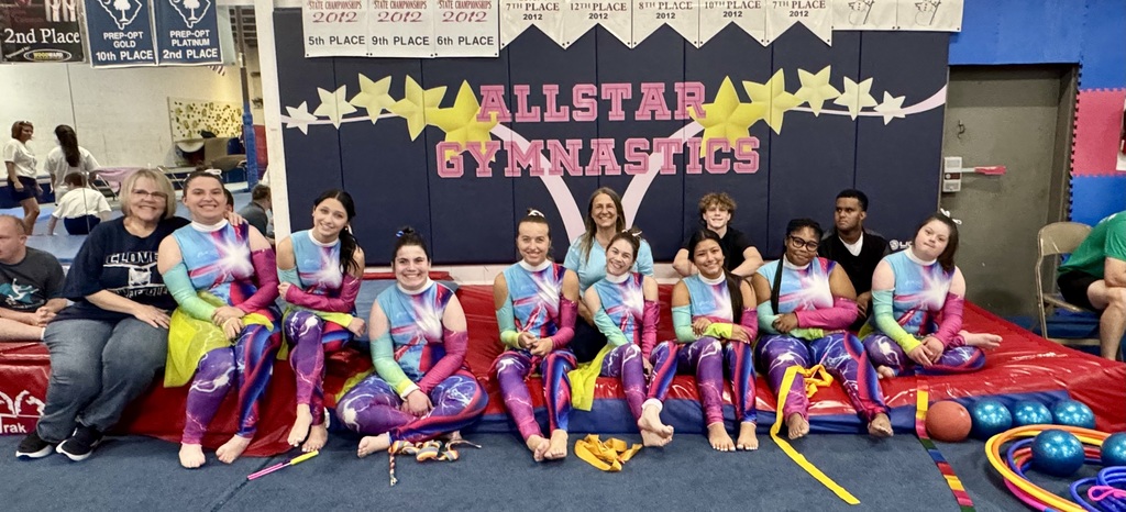 Gymnastics Team