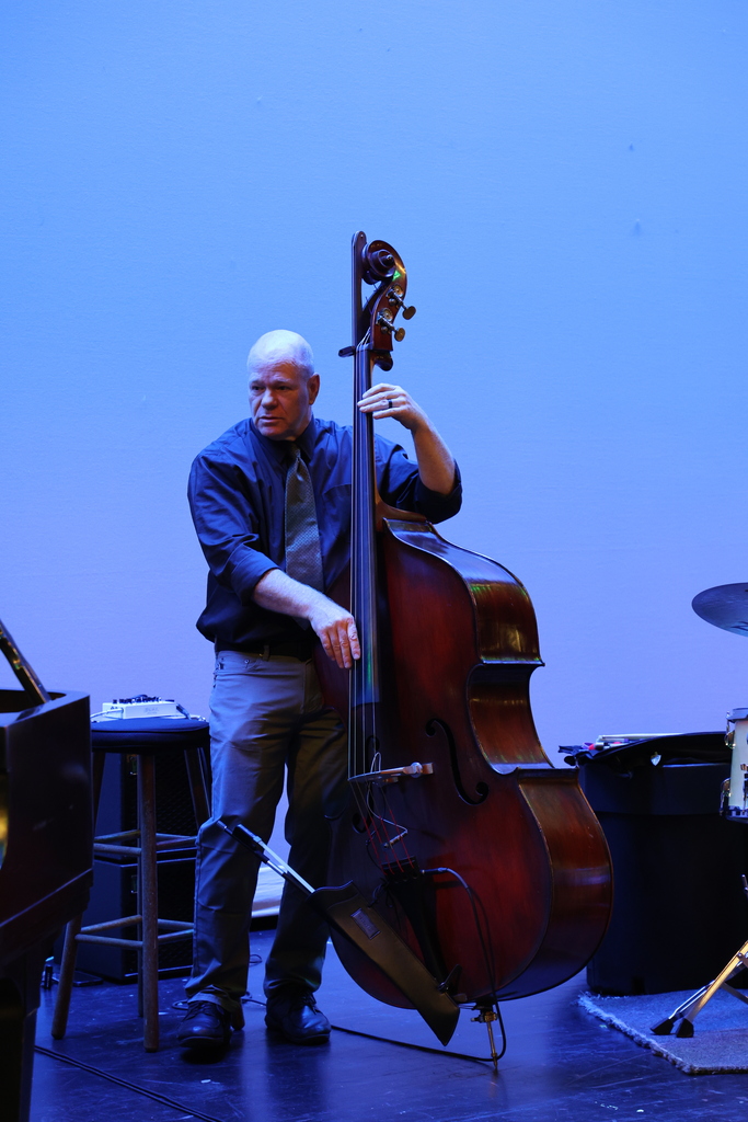 String Bass