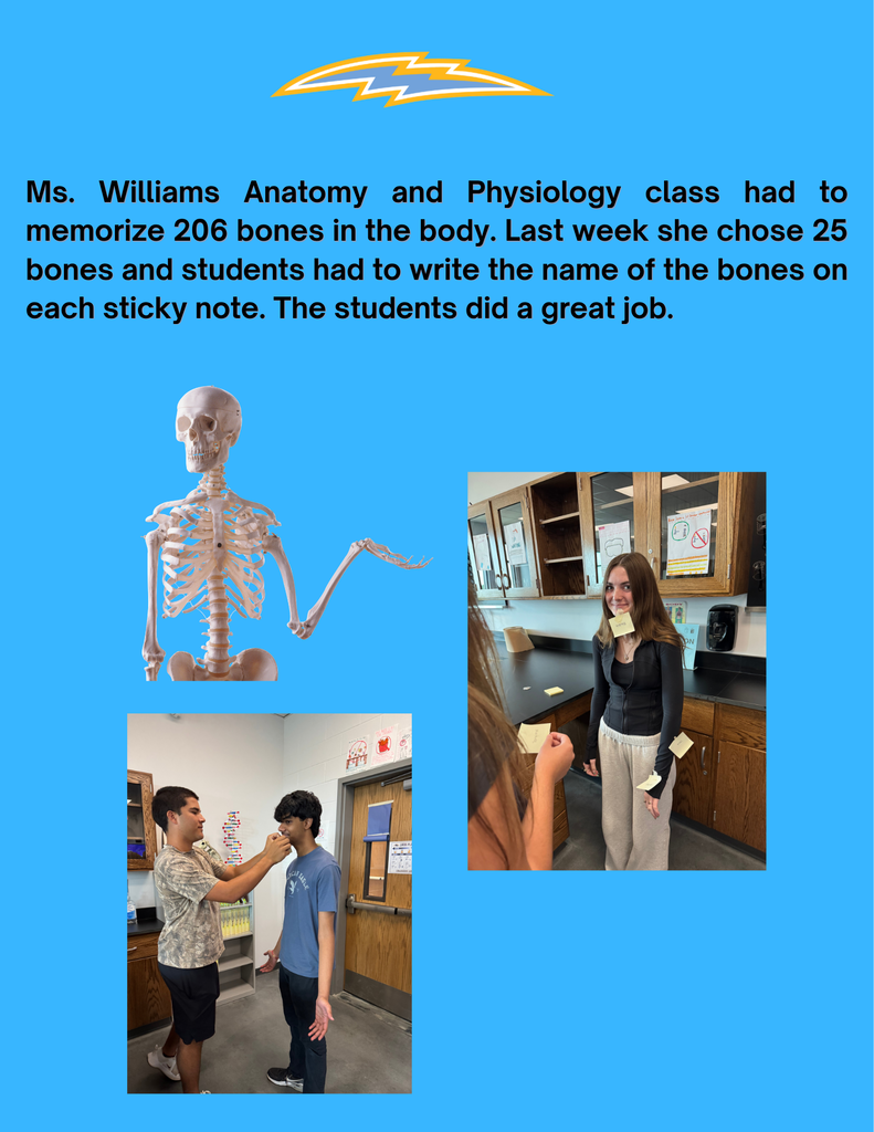 Anatomy 