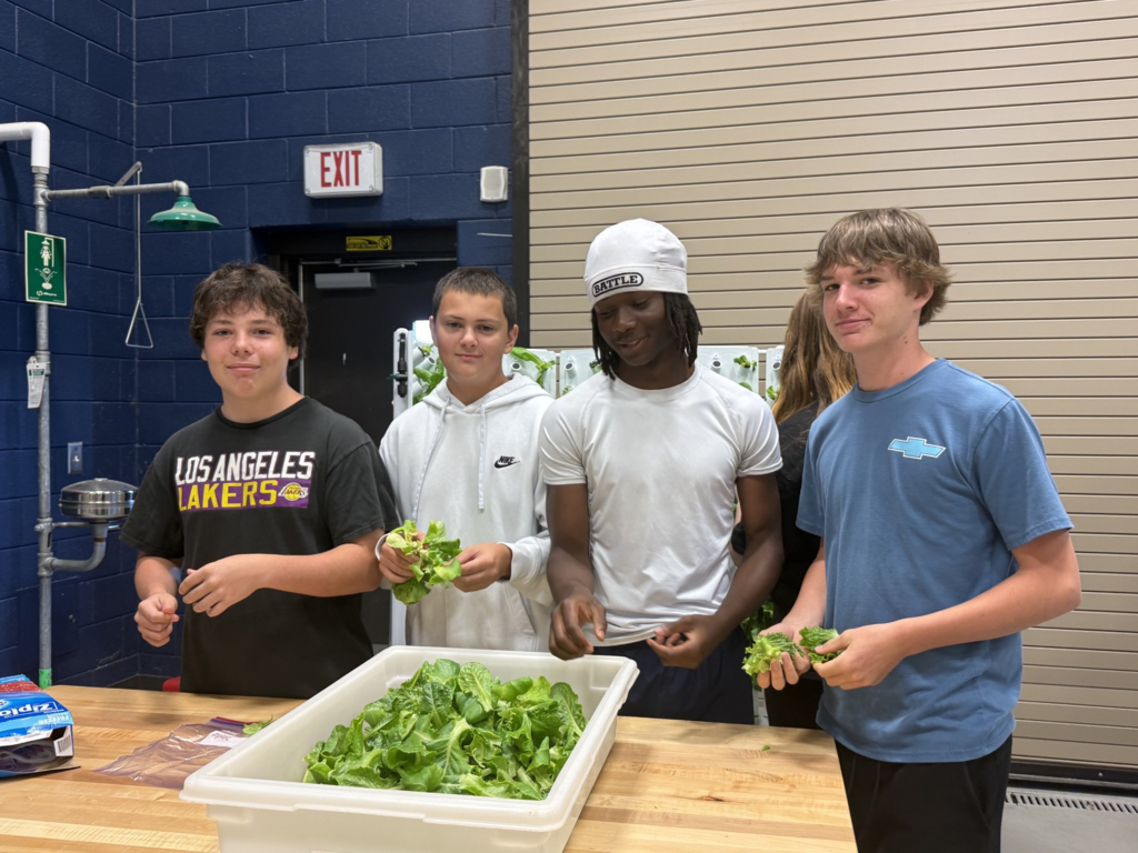 Hydroponics 