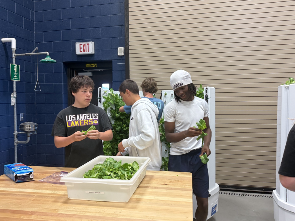 Hydroponics 