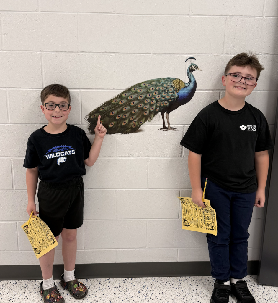 Amistad Peacock