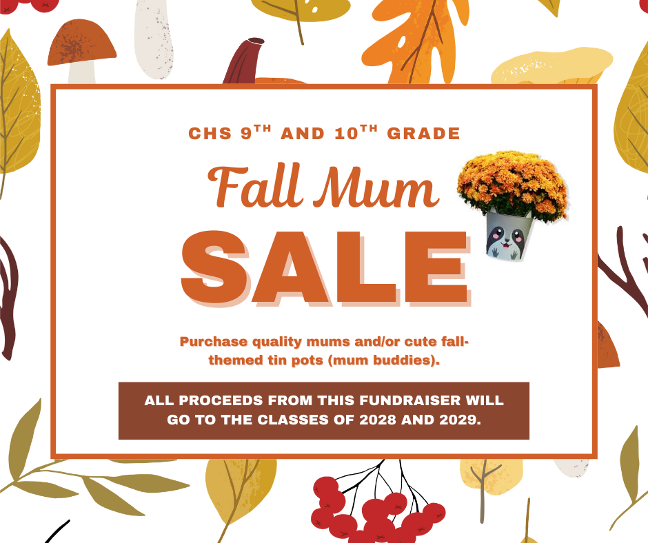 Fall mum sale