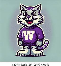 Wildcat