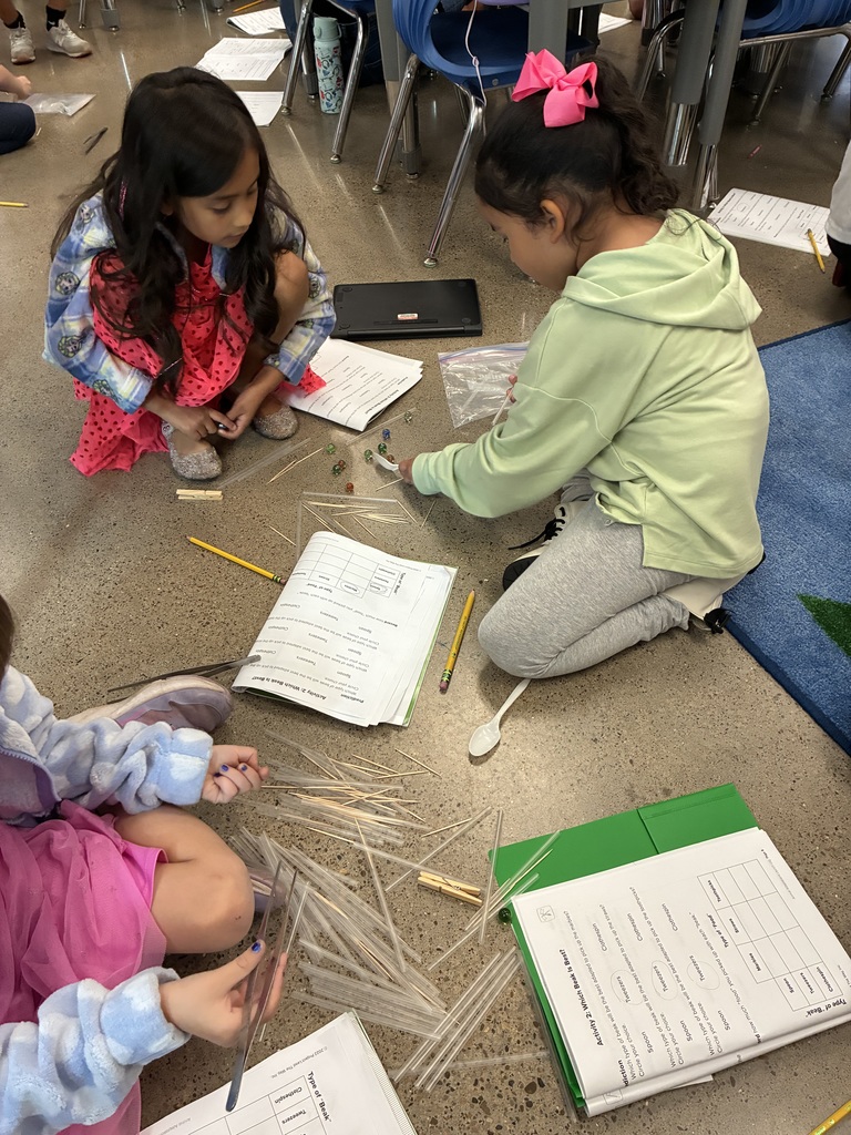 Mrs. Adams class using tongs to pick up sticks
