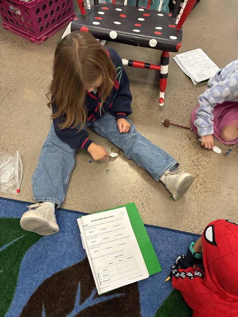 Mrs. Adams class picking up things with a spoon to see how hard that would be as a bird