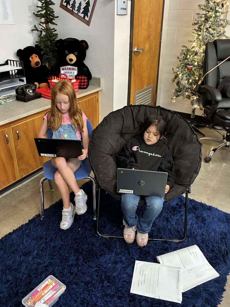 Kelsey and Kaleena doing research