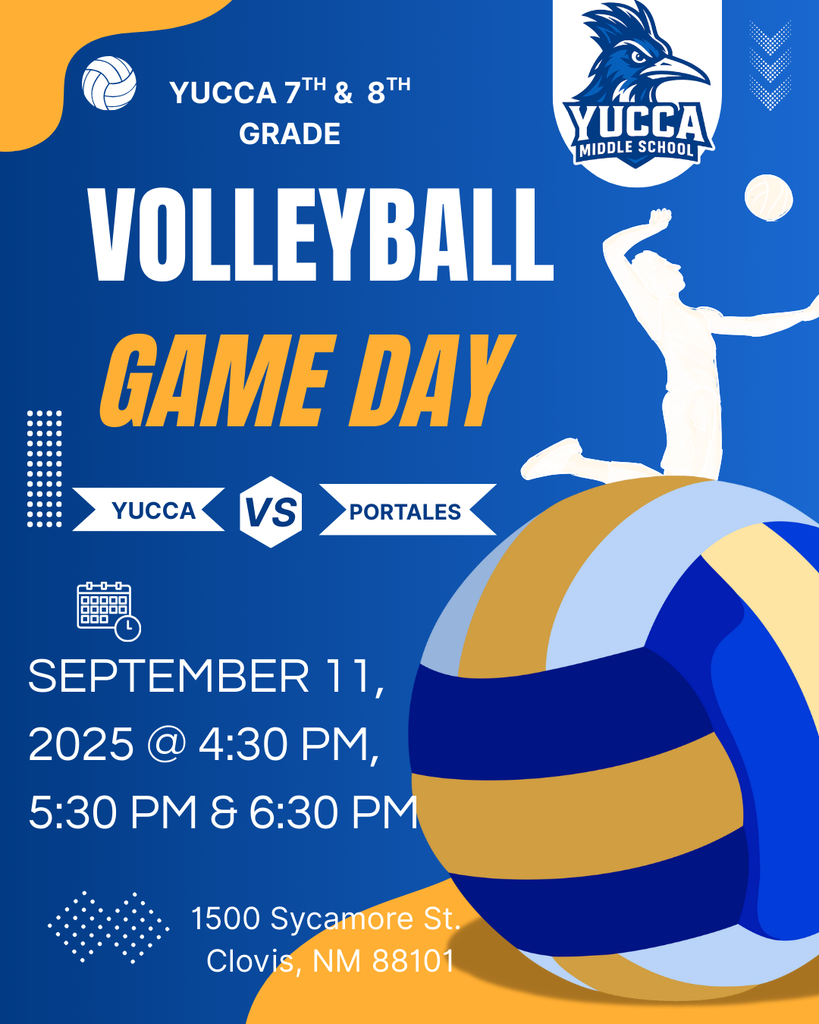 Volleyball Game Day