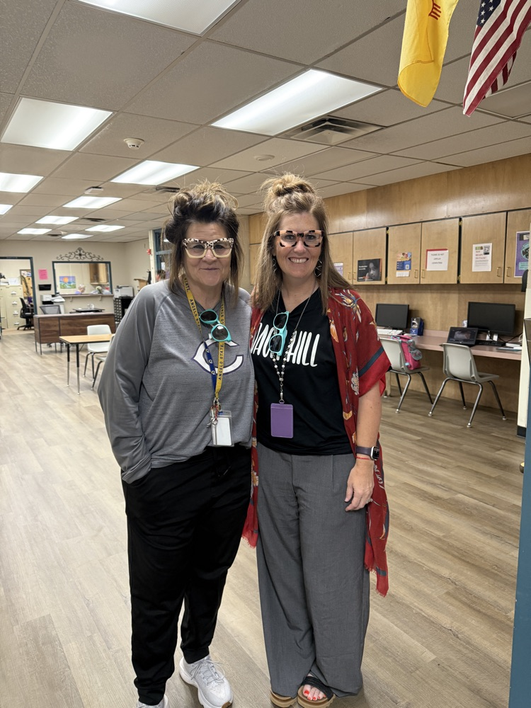 Twin Teachers