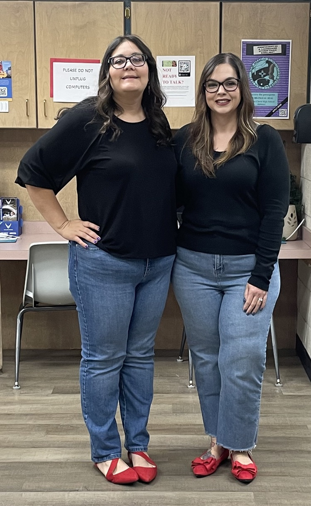 Twinning teachers