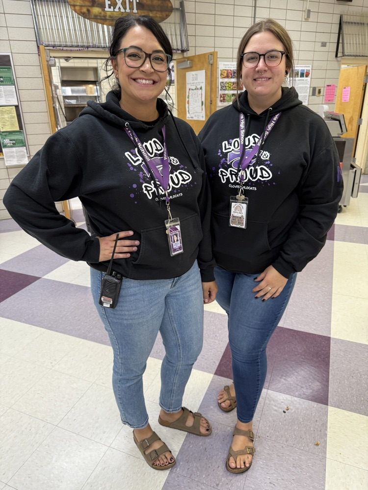 Twinning teachers