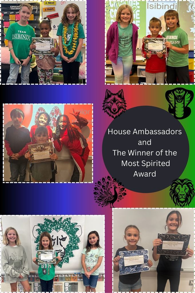 The most spirited award for each house and their ambassador