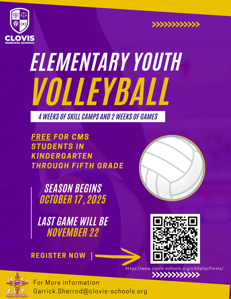 Elementary Youth Sports - Volleyball season flyer