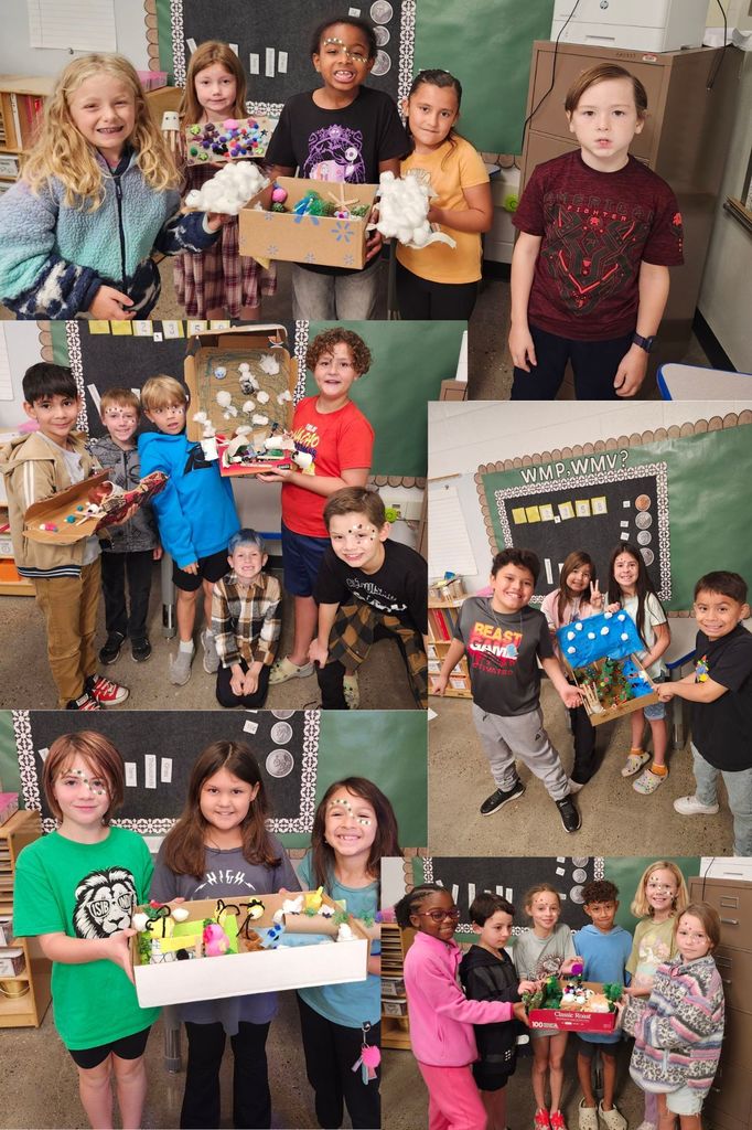 3rd grades bee module
